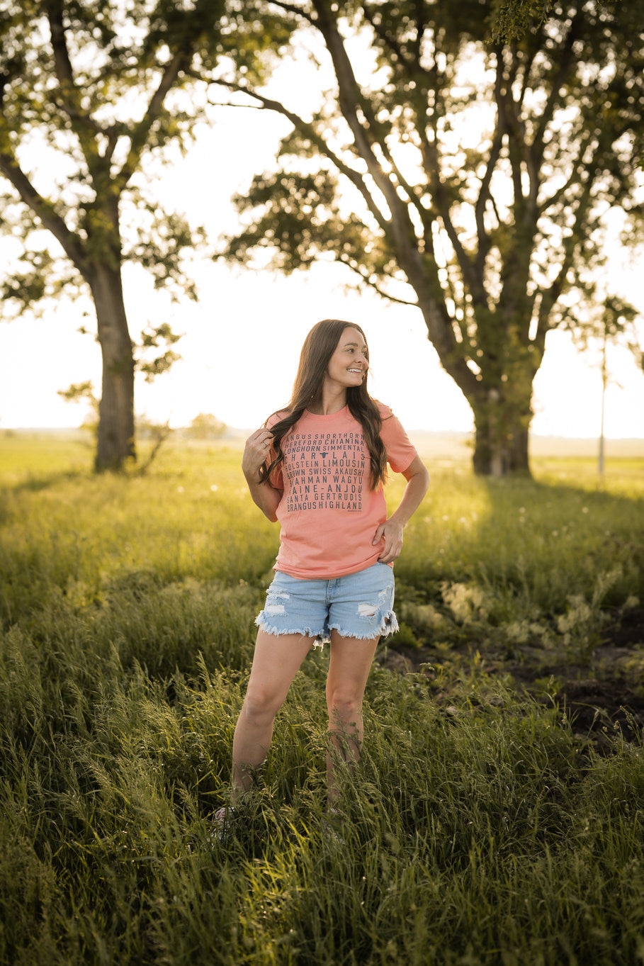 Cattle Breeds Graphic Tee in Sunset | Sizes S - 3XL